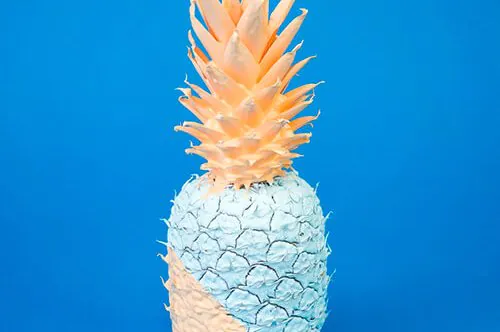 تطورت إصدارات مختلفة على مر السنين